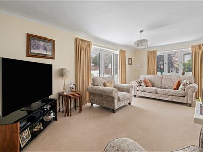 Picture 7